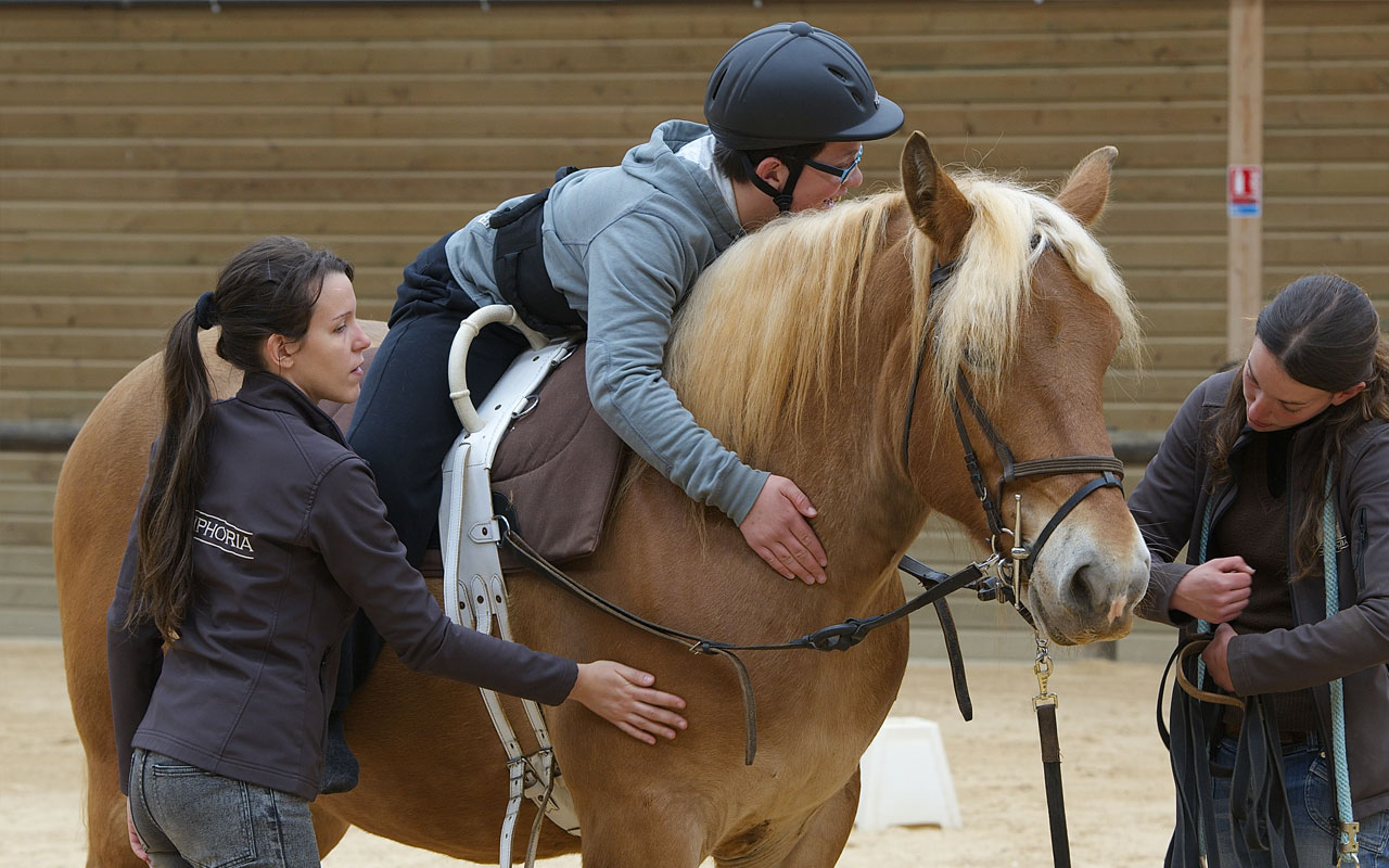 Formations pour les professionnels de la réadaptation assistée par le cheval .